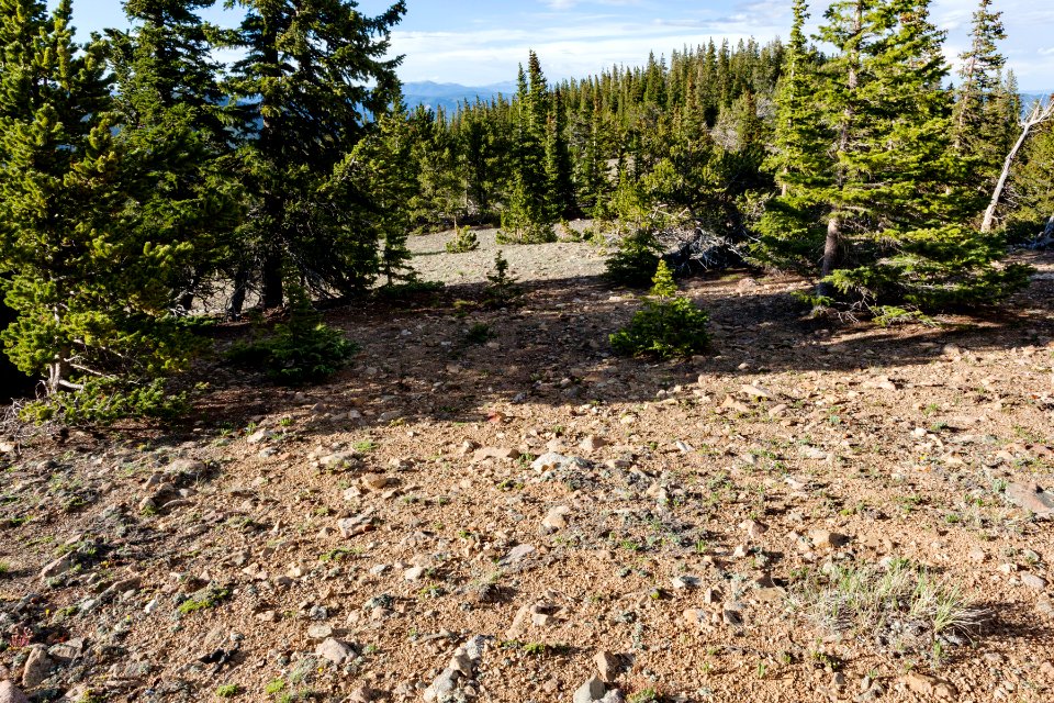 North-northeast of Wheeler Peak
