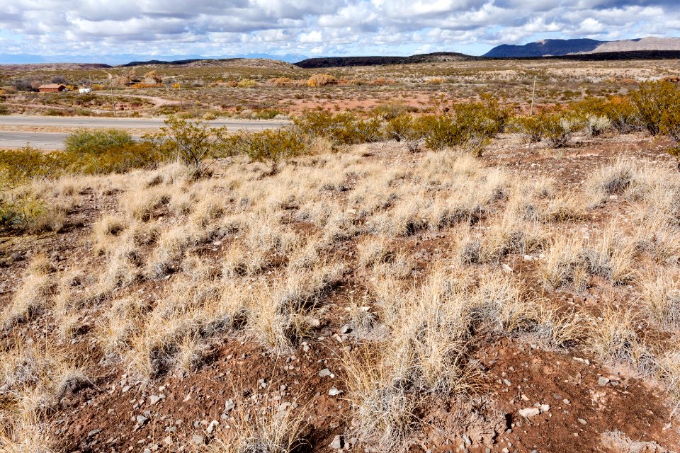 Northeast of Tularosa