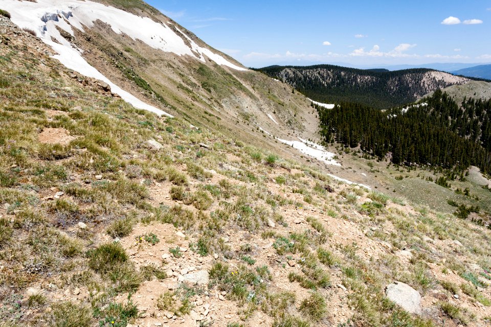 Southeast of Latir Peak