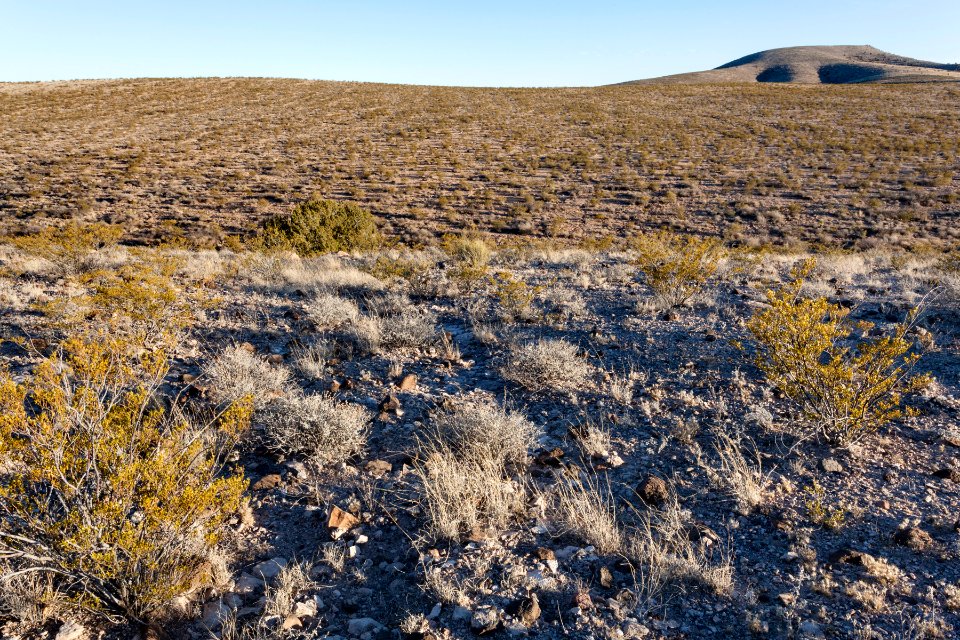 Eastern Sierra de las Uvas