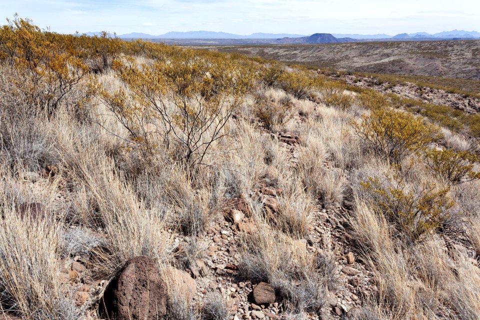 Northwest side of Arroyo Angostura