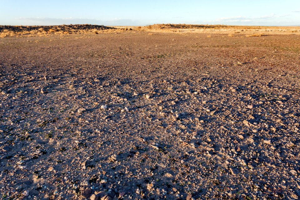 West edge of Lordsburg Playa