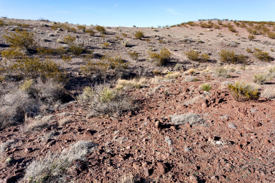 Eastern Sierra de las Uvas