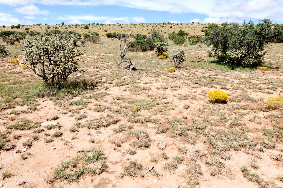 Northeast of George Draw