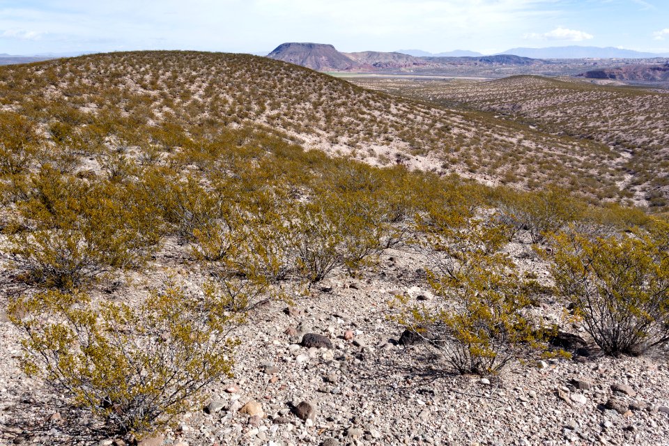 Eastern Sierra de las Uvas