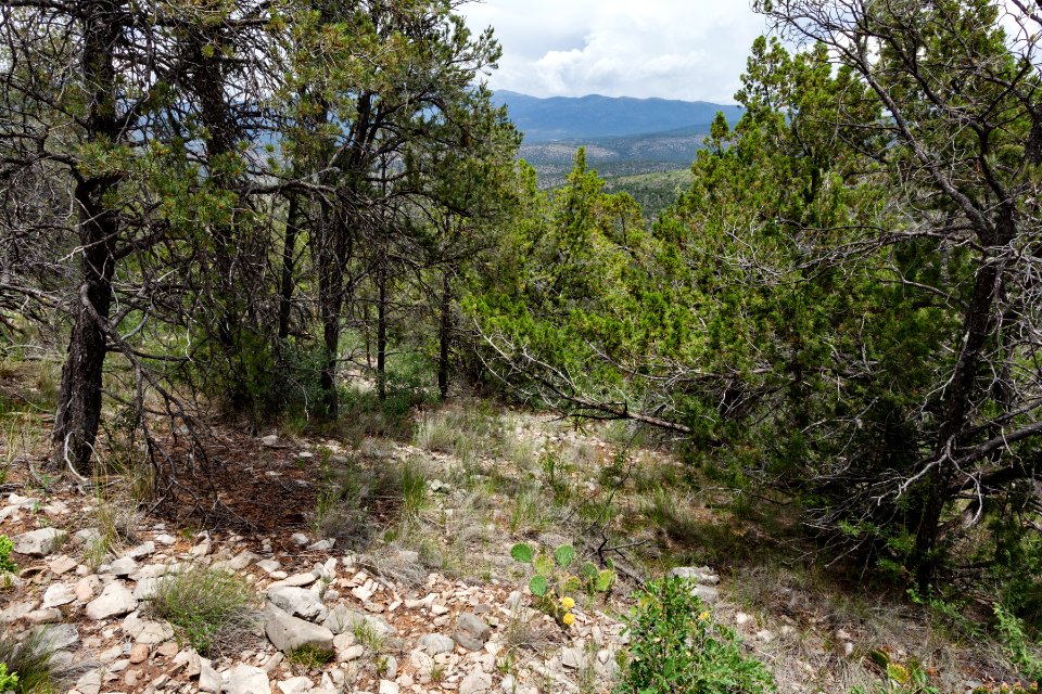 East-northeast of Cat Mountain