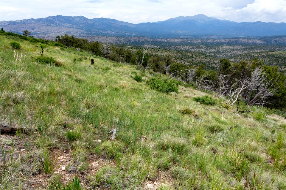 East-northeast of Cat Mountain