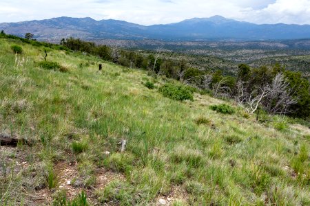 East-northeast of Cat Mountain