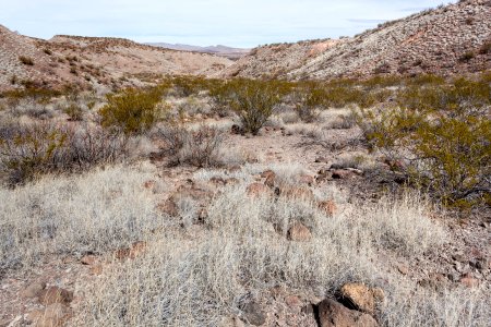 West of Arroyo Angostura