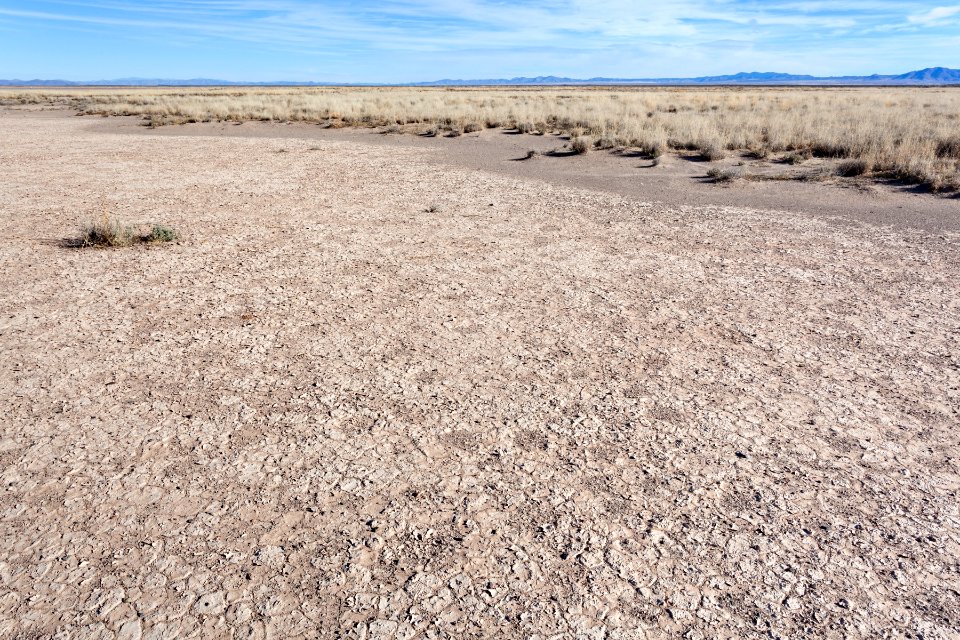 Lordsburg Playa