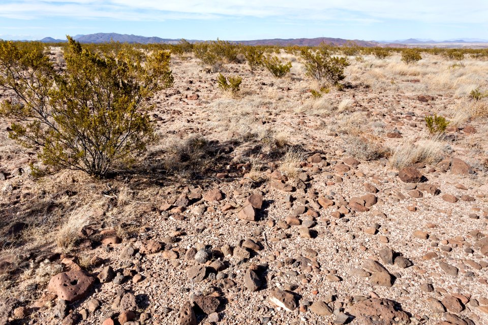 Southeast of Arroyo Angostura