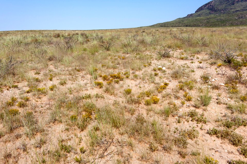 South of Alamo Mountain