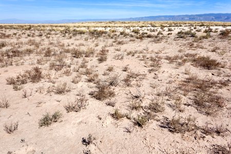 North of Twin Buttes