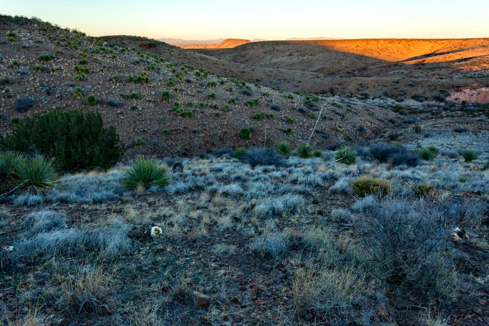 Eastern Sierra de las Uvas