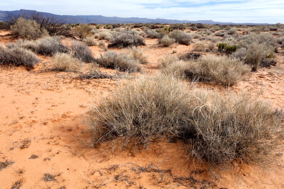 Southeast of Lone Butte