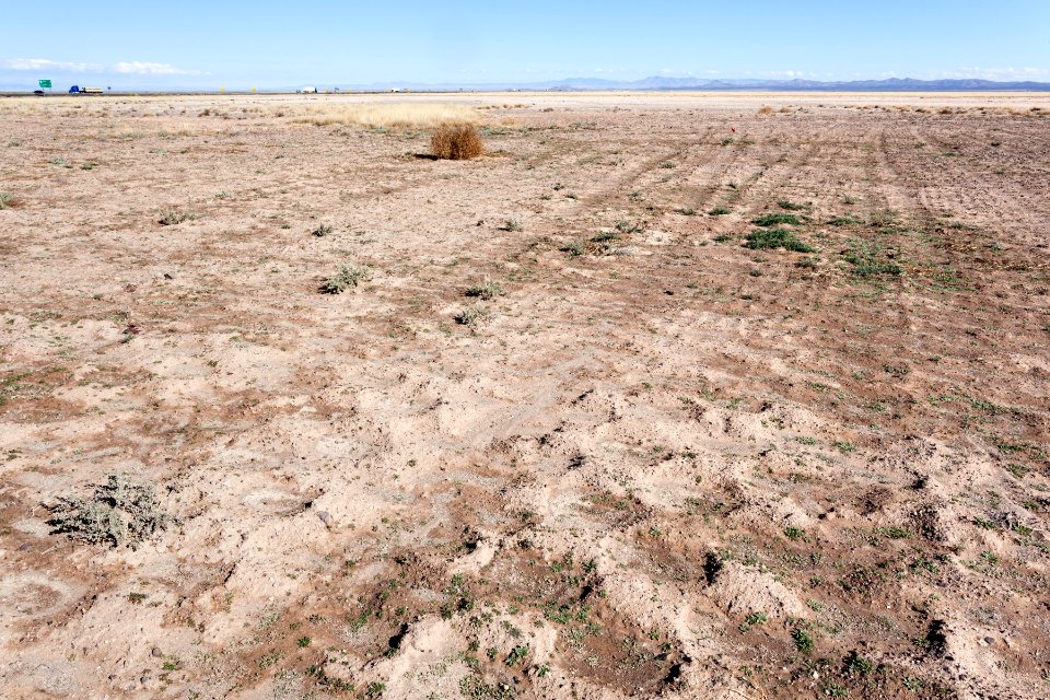 Near Road Forks