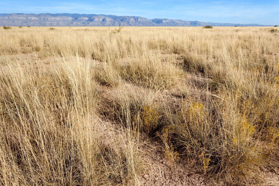 North-northeast of Twin Buttes
