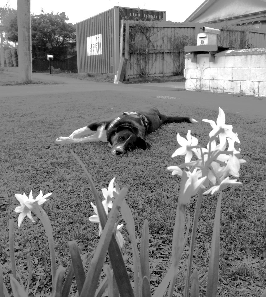 00002IMG 00002 mono