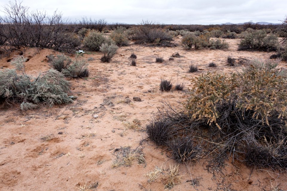 North of Northern Lordsburg Playa
