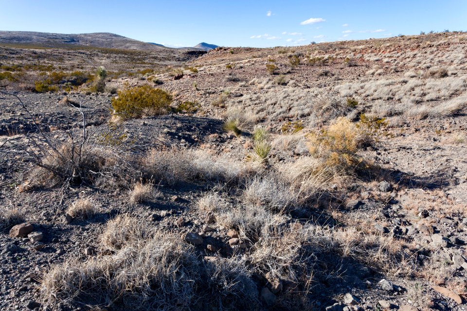 Northeastern Sierra de las Uvas