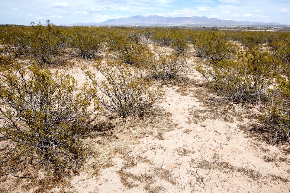 Northeast of Black Mountain