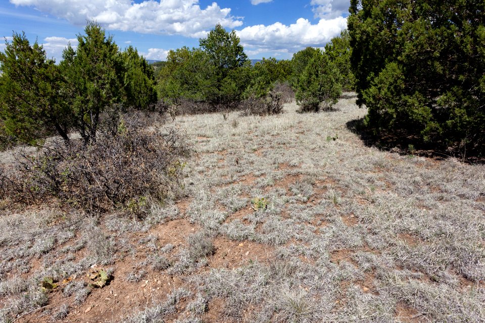 West of Ft. Stanton