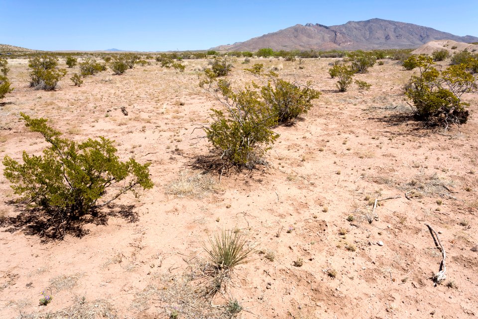 Near Goat Ridge