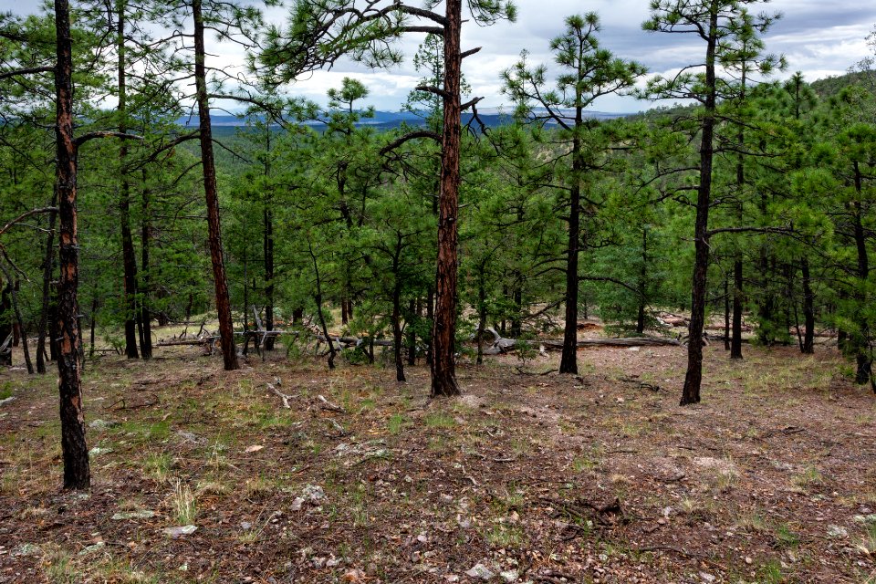 Continental Divide Trail