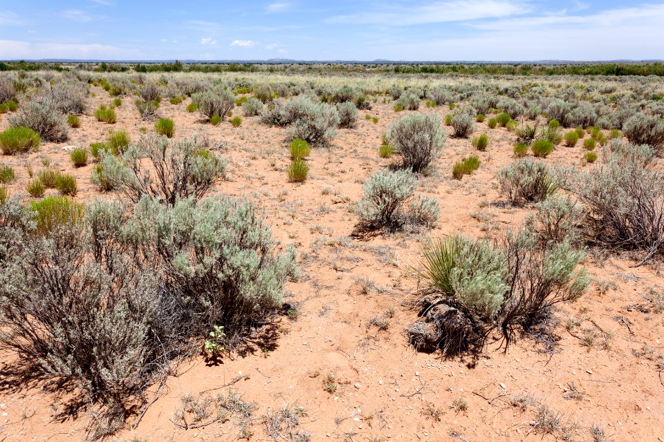 Near Chupadera Arroyo