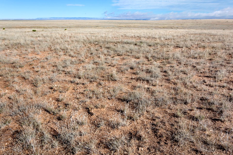 Otero Mesa
