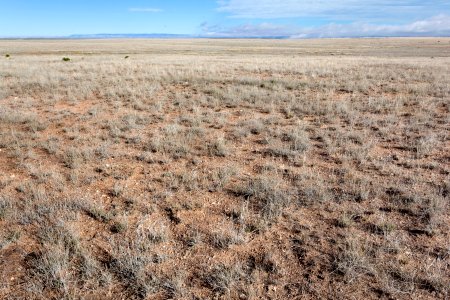 Otero Mesa