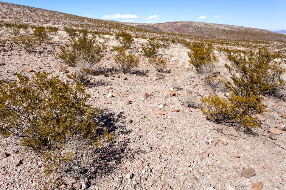 Sierra de las Uvas