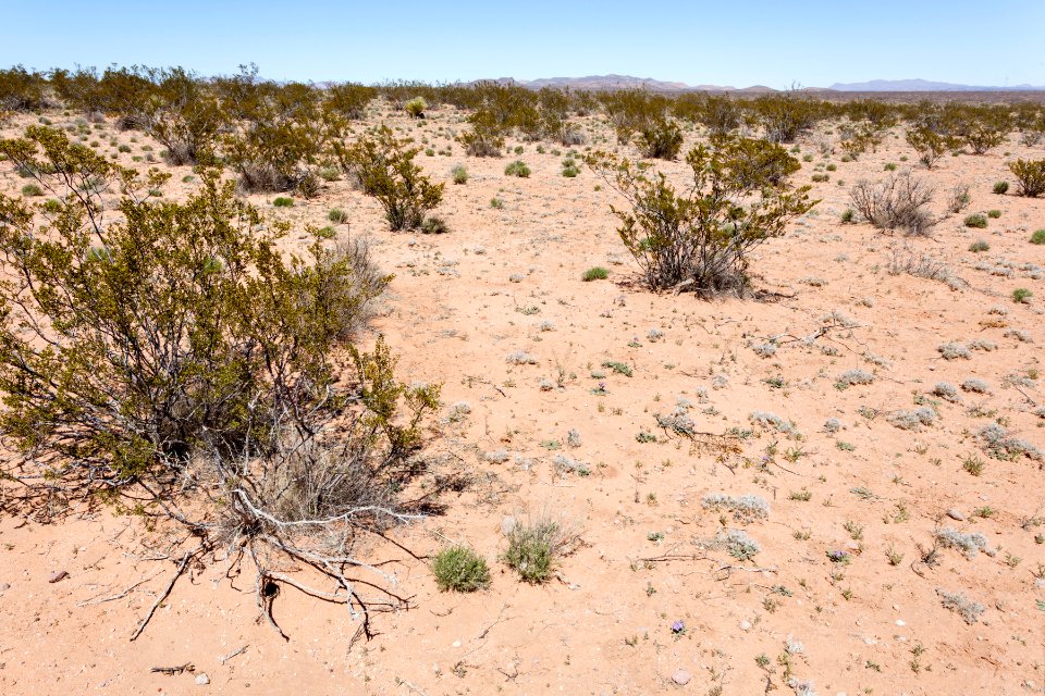 Northeast of the Aden Hills