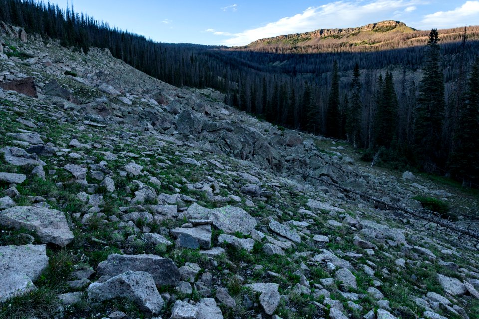 Near the Continental Divide Trail