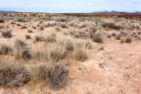 Rincon Arroyo