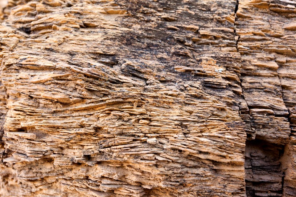 Abo Formation laminated sandstone