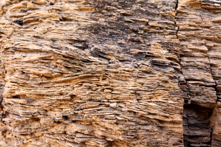 Abo Formation laminated sandstone