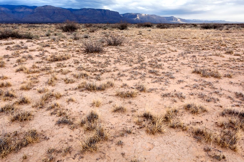 Northeast of Twin Buttes