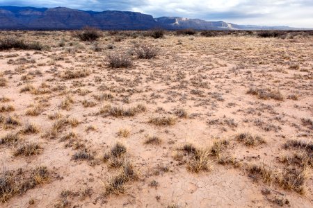 Northeast of Twin Buttes