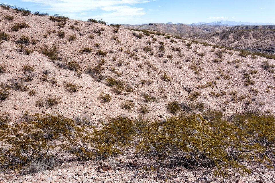 Eastern foothills of the Sierra de las Uvas