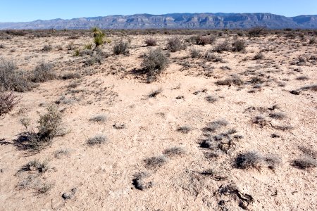 North of Lone Butte