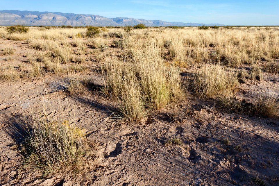 North-northeast of Twin Buttes