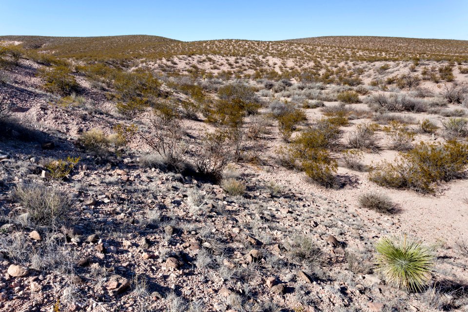 Eastern Sierra de las Uvas