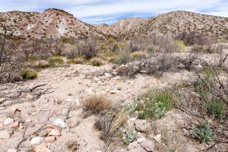 Northwest of Radium Springs