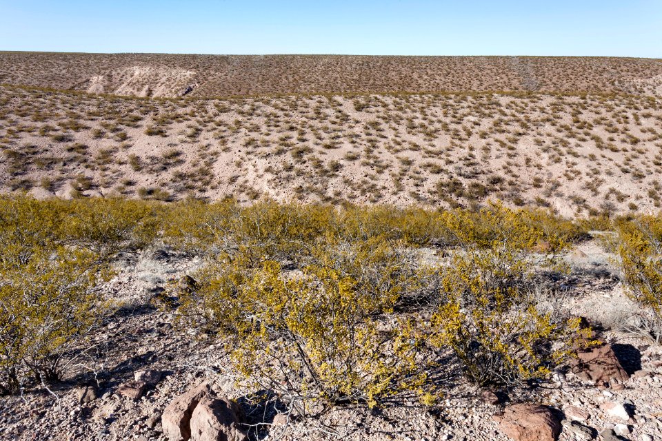Eastern Sierra de las Uvas