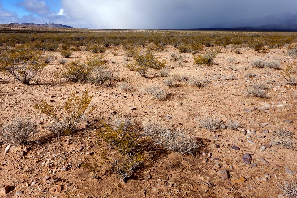 North of Fluorite Ridge