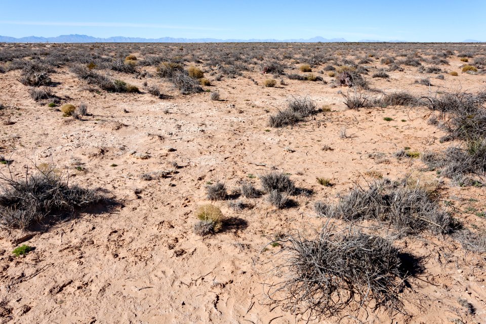 North of Lone Butte