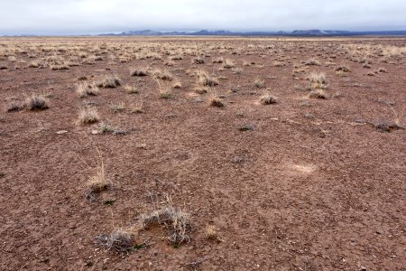 Northwest of Lordsburg Playa