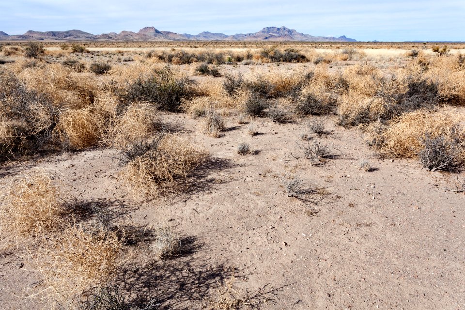 Northwest of Lordsburg Playa
