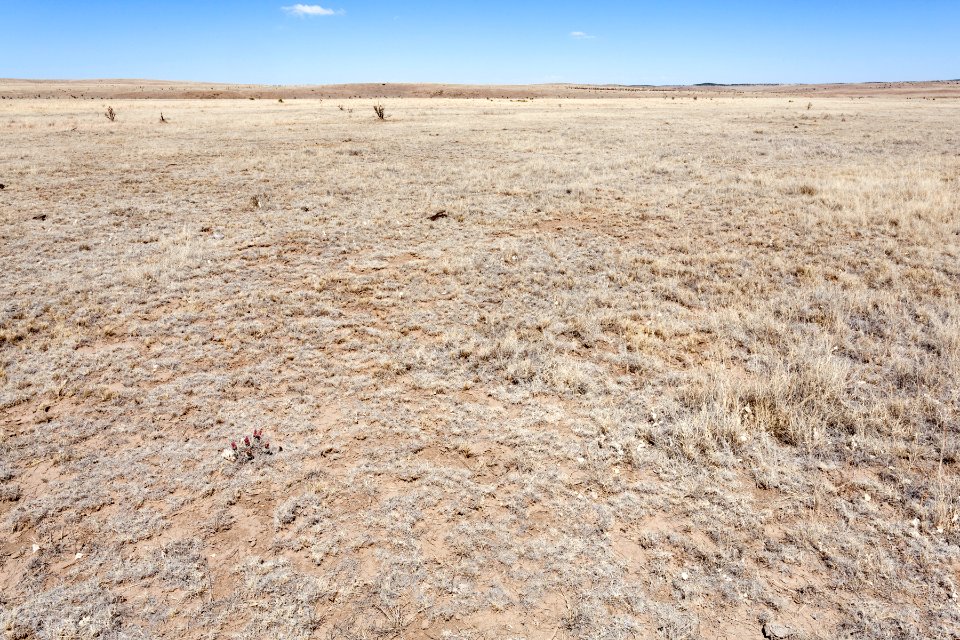 Near Carrizo Creek